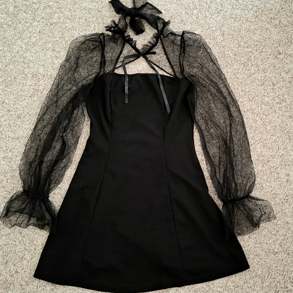 Elegant Black Lace Sleeve Dress